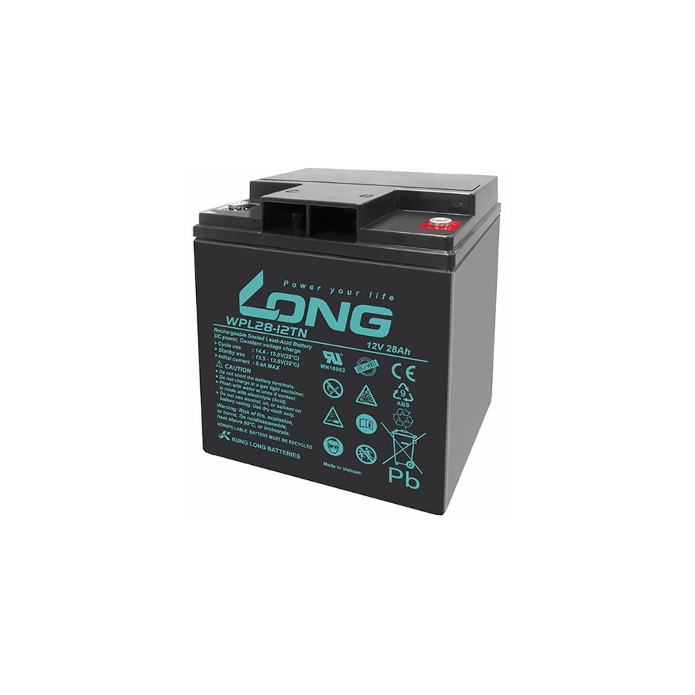 Ắc Quy Long Agm 12v28ah (wpl28 12tn)