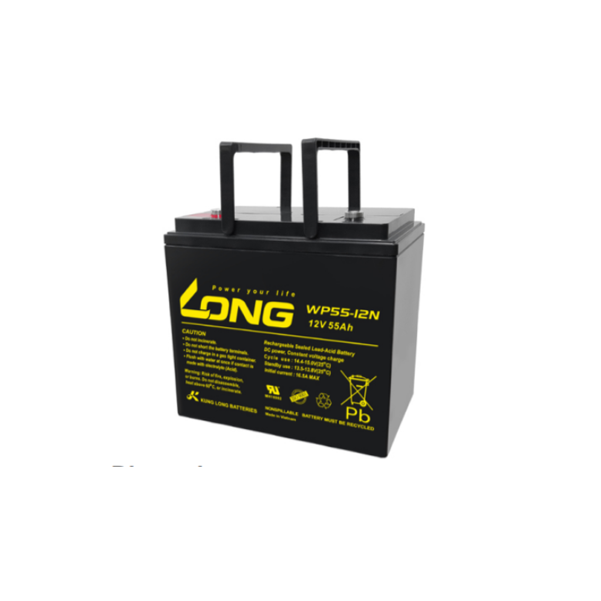 Ắc Quy Long Agm 12v55ah (wp55 12n)