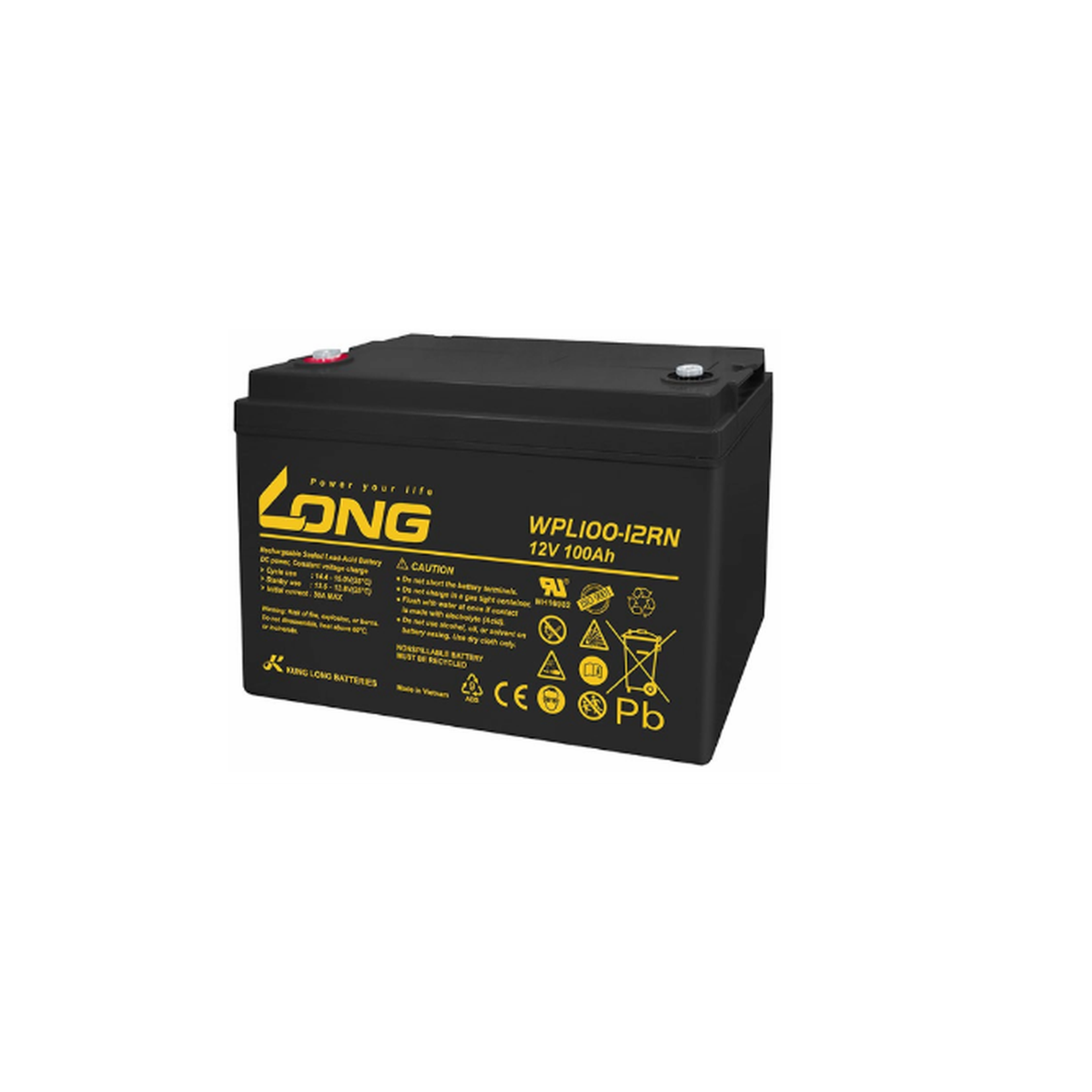 Ắc Quy Long Agm 12v100ah (wpl100 12rn)