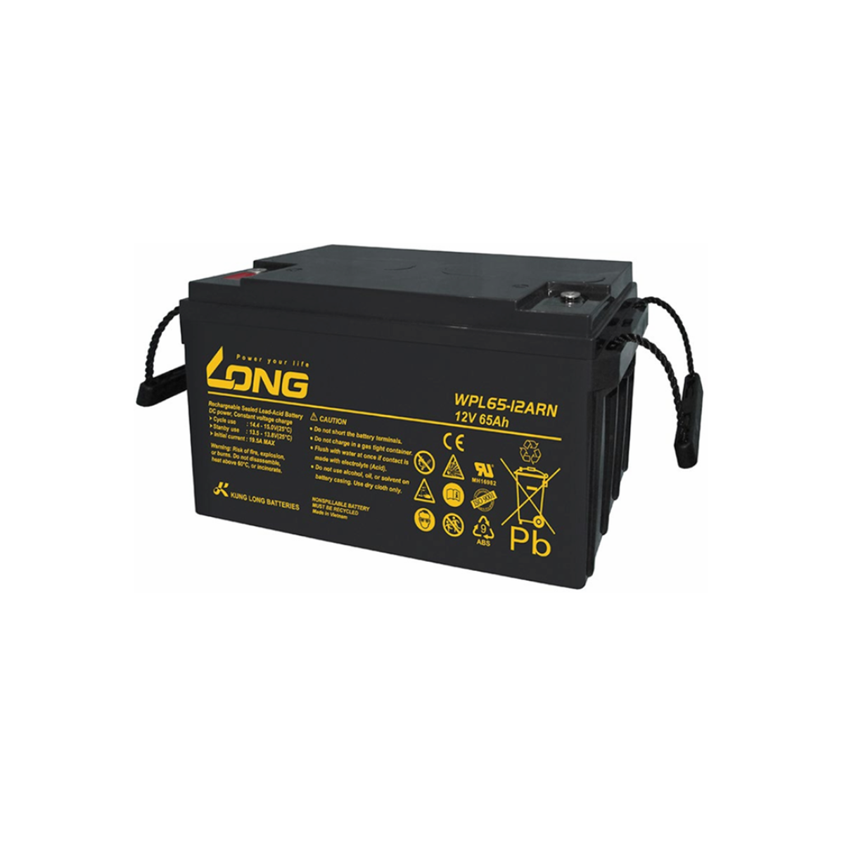 Ắc Quy Long Agm 12v65ah (wpl65 12arn)